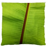 Ensete leaf Large Flano Cushion Case (One Side)