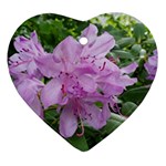 Purple Rhododendron Flower Heart Ornament (2 Sides)