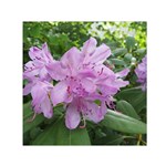 Purple Rhododendron Flower Small Satin Scarf (Square)