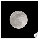 Full Moon at night Canvas 12  x 12  