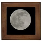 Close to the full Moon Framed Tiles