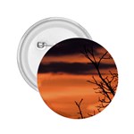 Tree branches and sunset 2.25  Buttons