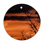 Tree branches and sunset Ornament (Round) 