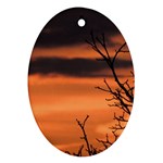 Tree branches and sunset Ornament (Oval) 