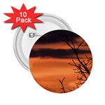 Tree branches and sunset 2.25  Buttons (10 pack) 