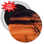 Tree branches and sunset 3  Magnets (100 pack)