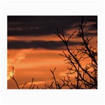 Tree branches and sunset Small Glasses Cloth