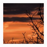 Tree branches and sunset Medium Glasses Cloth
