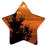 Christmas tree and sunset Star Ornament (Two Sides) 