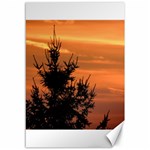 Christmas tree and sunset Canvas 12  x 18  