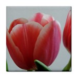 Red - White Tulip flower Tile Coasters