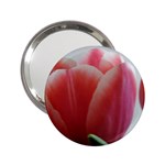 Red - White Tulip flower 2.25  Handbag Mirrors