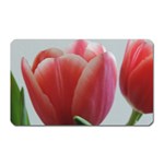 Red - White Tulip flower Magnet (Rectangular)