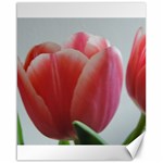 Red - White Tulip flower Canvas 16  x 20  