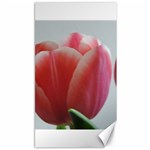 Red - White Tulip flower Canvas 40  x 72  