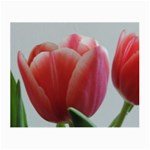 Red - White Tulip flower Small Glasses Cloth (2-Side)