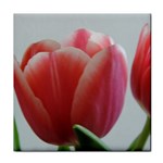 Red - White Tulip flower Face Towel