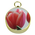 Red - White Tulip flower Gold Compasses