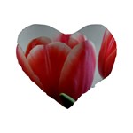 Red - White Tulip flower Standard 16  Premium Flano Heart Shape Cushions