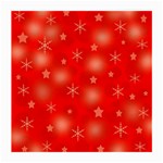 Red Xmas desing Medium Glasses Cloth