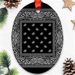 Img 0851 Ornament (Oval)