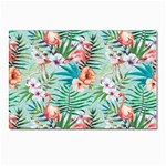 Image Postcard 4 x 6  (Pkg of 10)