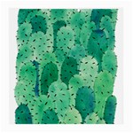 46 2 Medium Glasses Cloth