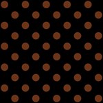 Polka Dots - Auburn Brown on Black ScrapBook Page 8  x 8 