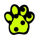 Polka Dots - Black on Fluorescent Yellow Magnet (Paw Print)