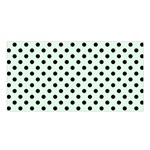 Polka Dots - Black on Pale Green Satin Shawl