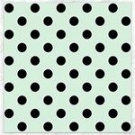 Polka Dots - Black on Pale Green Canvas 16  x 16 