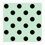 Polka Dots - Black on Pastel Green Medium Glasses Cloth