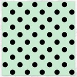 Polka Dots - Black on Pastel Green Canvas 16  x 16 