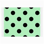 Polka Dots - Black on Mint Green Large Glasses Cloth (2 Sides)