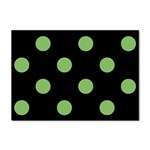 Polka Dots - Dollar Bill Green on Black Sticker A4 (10 pack)