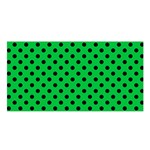 Polka Dots - Black on Dark Pastel Green Satin Shawl