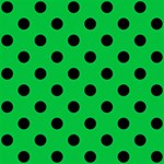 Polka Dots - Black on Dark Pastel Green ScrapBook Page 12  x 12 