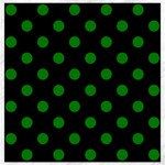 Polka Dots - Green on Black Canvas 16  x 16 