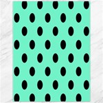 Polka Dots - Black on Aquamarine Canvas 12  x 16 