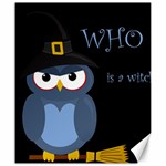 Halloween witch - blue owl Canvas 20  x 24  