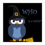 Halloween witch - blue owl Medium Glasses Cloth (2-Side)