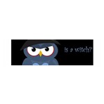 Halloween witch - blue owl Satin Scarf (Oblong)