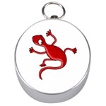 Red lizard Silver Compasses