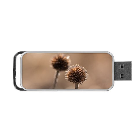 2  Verwelkte Kugeldistel Portable USB Flash (Two Sides) from ArtsNow.com Front