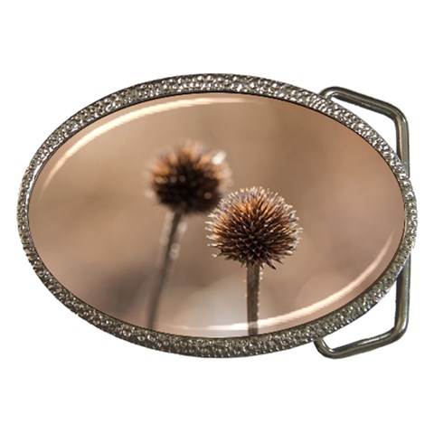 Withered Globe Thistle In Autumn Macro Belt Buckles from ArtsNow.com Front