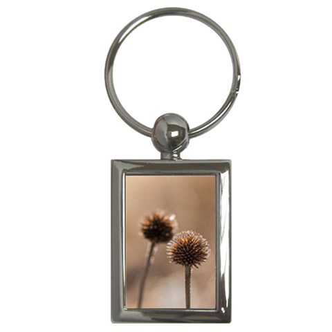 Withered Globe Thistle In Autumn Macro Key Chains (Rectangle)  from ArtsNow.com Front