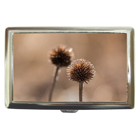 Withered Globe Thistle In Autumn Macro Cigarette Money Cases from ArtsNow.com Front