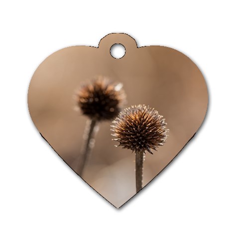 Withered Globe Thistle In Autumn Macro Dog Tag Heart (Two Sides) from ArtsNow.com Front
