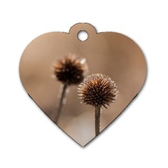 Withered Globe Thistle In Autumn Macro Dog Tag Heart (Two Sides) from ArtsNow.com Front