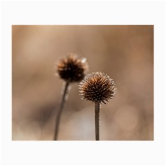 Withered Globe Thistle In Autumn Macro Small Glasses Cloth (2 Front